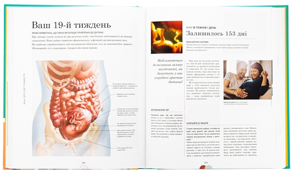 Бумажная книга «Вагітність день за днем», автор Мэгги Блотт - фото №1
