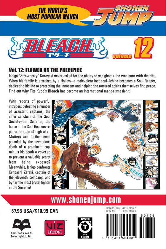 Паперова книга «Bleach. Volume 12», автор Тайто Кубо - фото №1