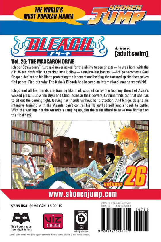 Паперова книга «Bleach. Volume 26», автор Тайто Кубо - фото №1