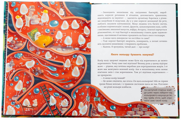 Бумажная книга «Що в кінці: куди зникають какунці?», автор Юлия Ярмоленко - фото №1