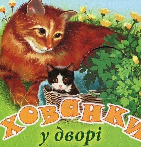 Паперова книга «Хованки у дворі» - фото №1