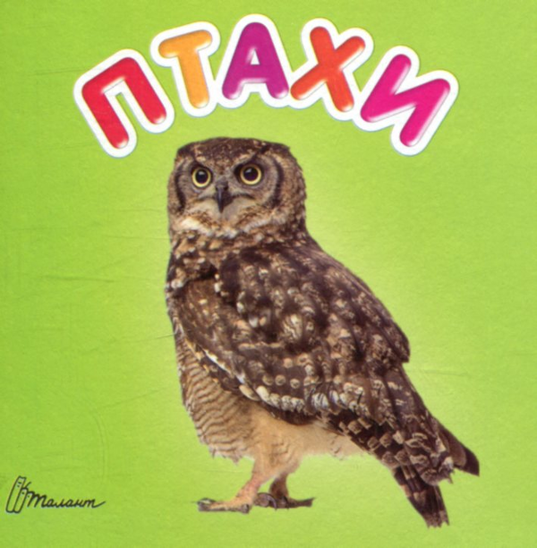 Бумажная книга «Птахи» - фото №1