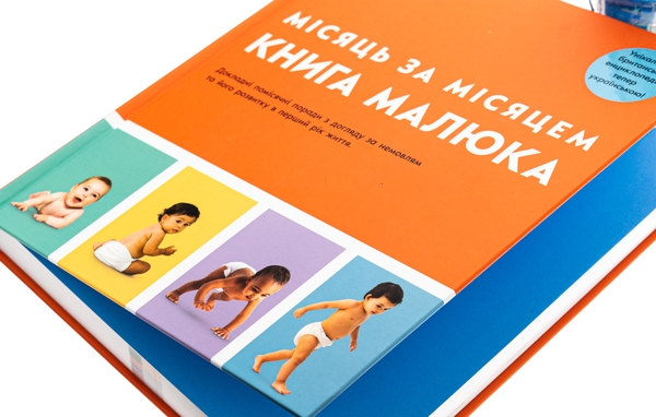 Бумажная книга «Книга малюка. Місяць за місяцем», авторов Джуди Барретт, Кэрол Купер, Никола Дешам, Фиона Уилкок, Карен Салливан, Мэри Стин - фото №1