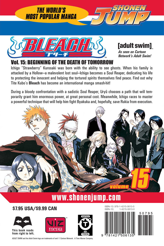 Паперова книга «Bleach. Volume 15», автор Тайто Кубо - фото №1