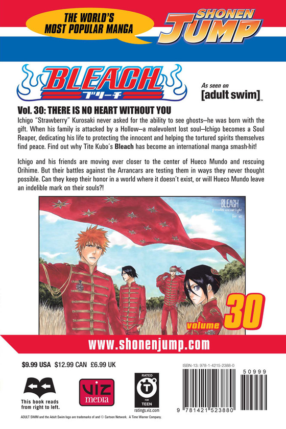 Паперова книга «Bleach. Volume 30», автор Тайто Кубо - фото №1