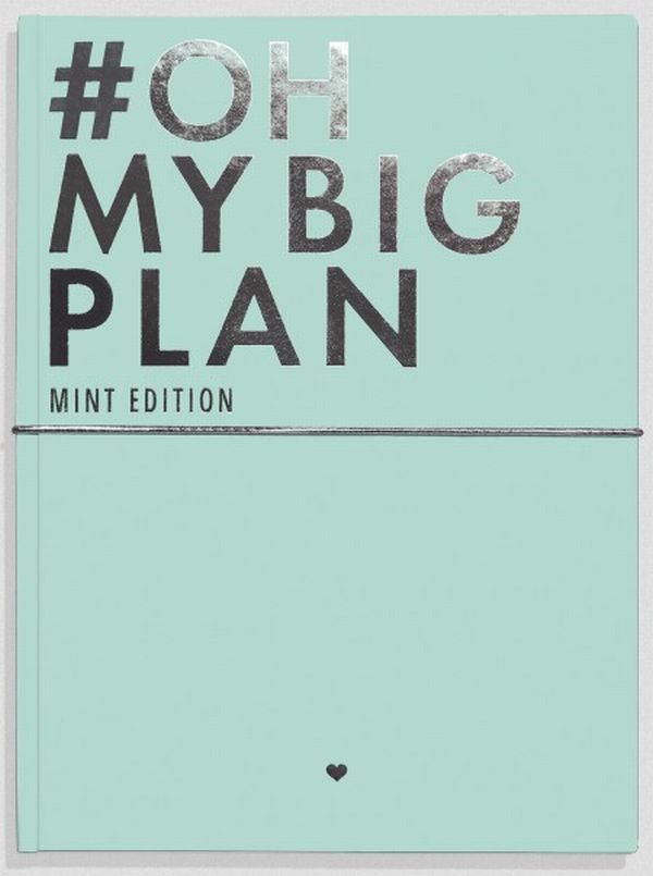 «Блокнот Oh My Book! Oh My Big Plan Mint Edition (4820216810011)», бренда Oh My Book! - фото №1