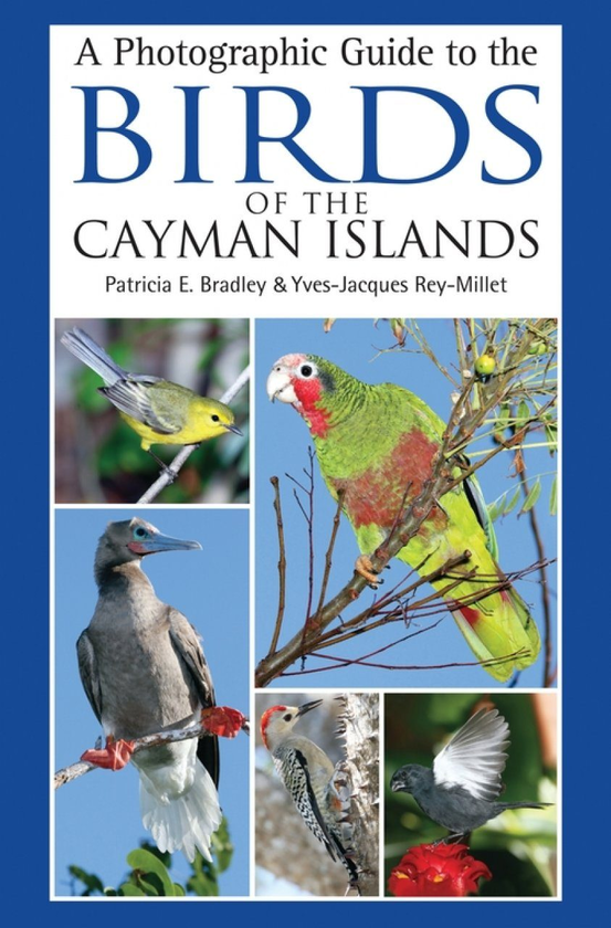Паперова книга «A Photographic Guide to the Birds of the Cayman Islands», автор Патрісія Е. Бредлі - фото №1