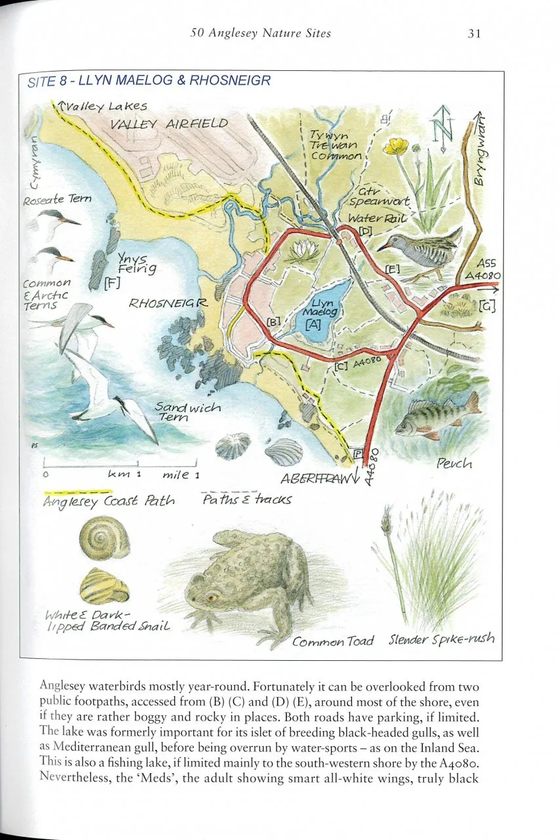 Бумажная книга «Anglesey Naturewatch», автор Филип Сноу - фото №1