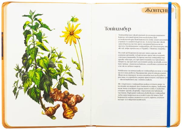 Паперова книга «Кулінарний записник Осінь (лімітована серія)», автор Дарія Крікунова - фото №1