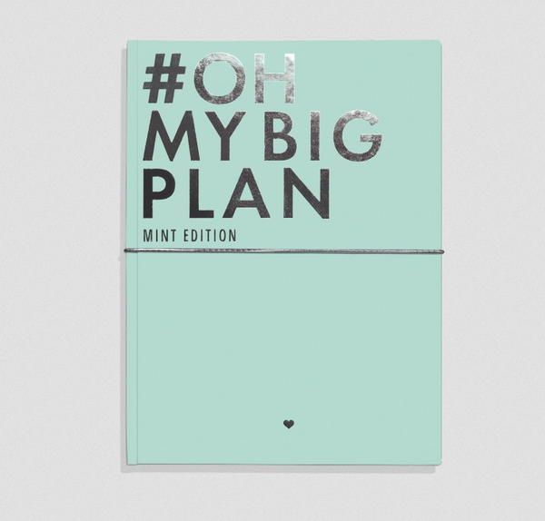 «Блокнот Oh My Book! Oh My Big Plan Mint Edition (4820216810011)», бренда Oh My Book! - фото №1