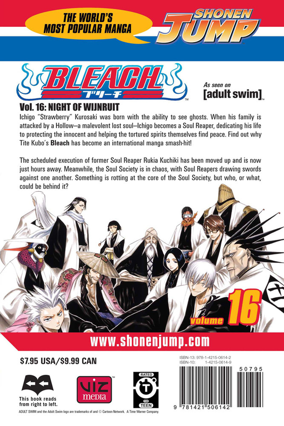 Паперова книга «Bleach. Volume 16», автор Тайто Кубо - фото №1