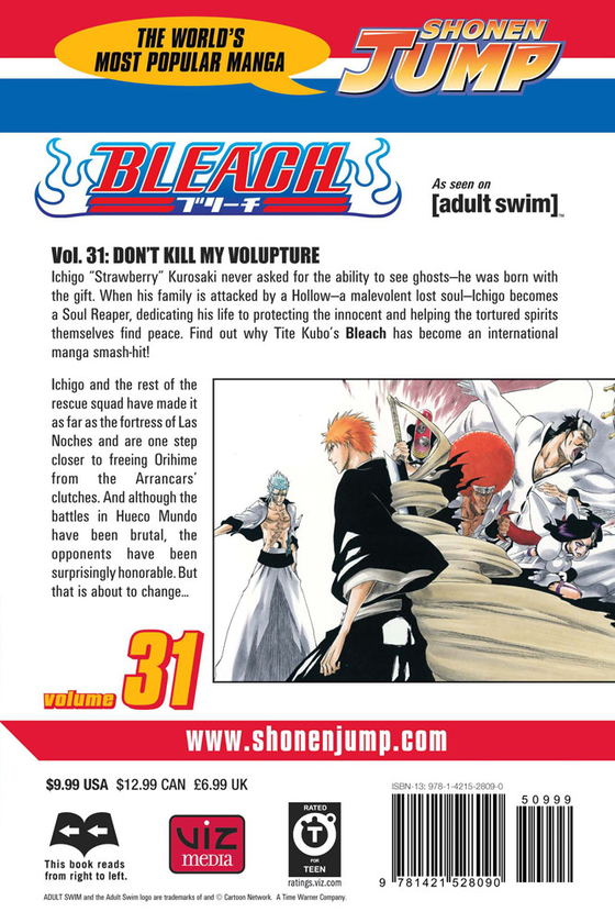 Бумажная книга «Bleach. Volume 31», автор Тайто Кубо - фото №1