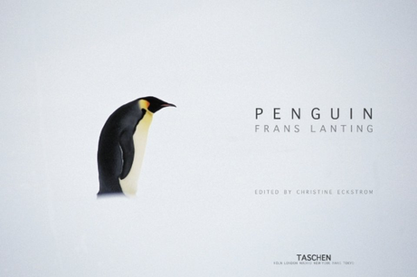 Бумажная книга «Frans Lanting. Penguin», автор Франс Лэнтин - фото №1