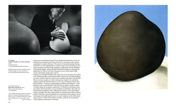 Бумажная книга «Georgia O'Keeffe», автор Бритта Бенке - фото №1