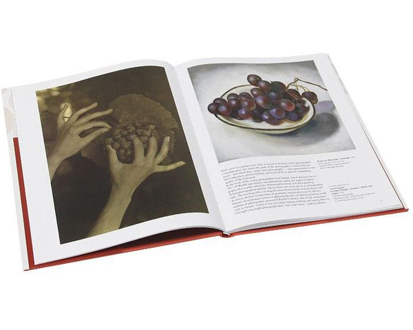 Бумажная книга «Georgia O'Keeffe», автор Бритта Бенке - фото №1