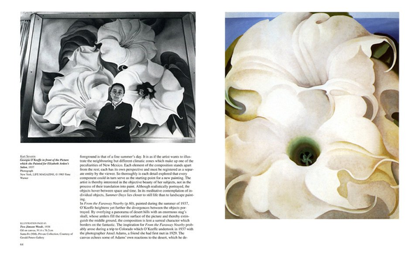 Бумажная книга «Georgia O'Keeffe», автор Бритта Бенке - фото №1