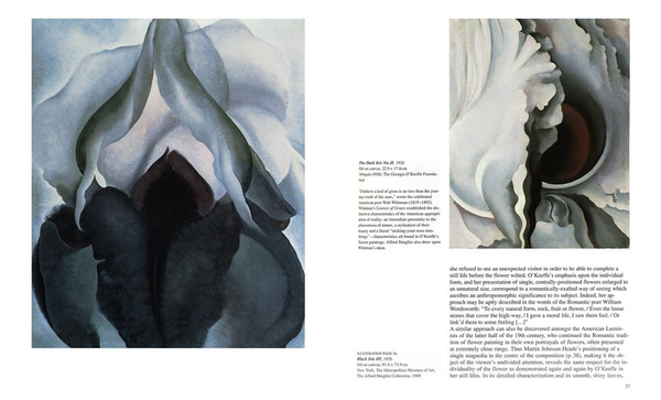 Бумажная книга «Georgia O'Keeffe», автор Бритта Бенке - фото №1