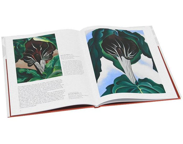 Бумажная книга «Georgia O'Keeffe», автор Бритта Бенке - фото №1