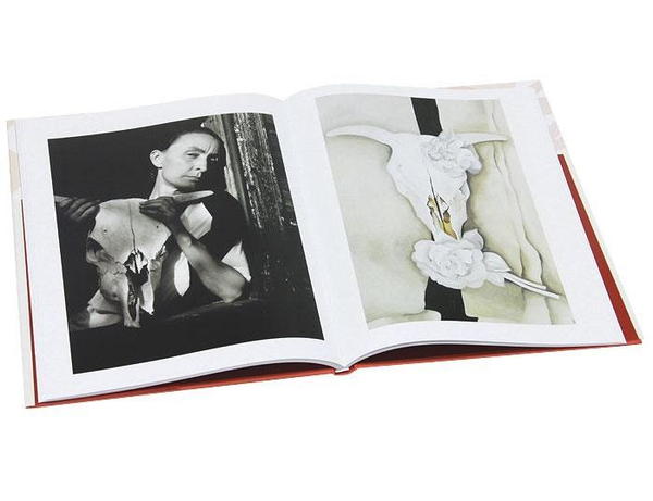 Бумажная книга «Georgia O'Keeffe», автор Бритта Бенке - фото №1