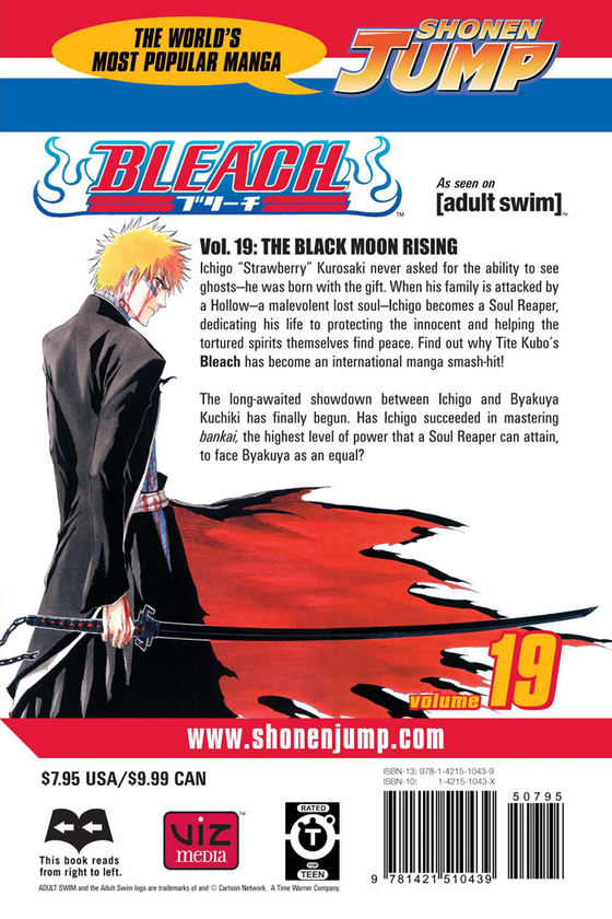 Паперова книга «Bleach. Volume 19», автор Тайто Кубо - фото №1