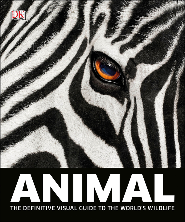 Паперова книга «Animal», автор Девід Берні - фото №1