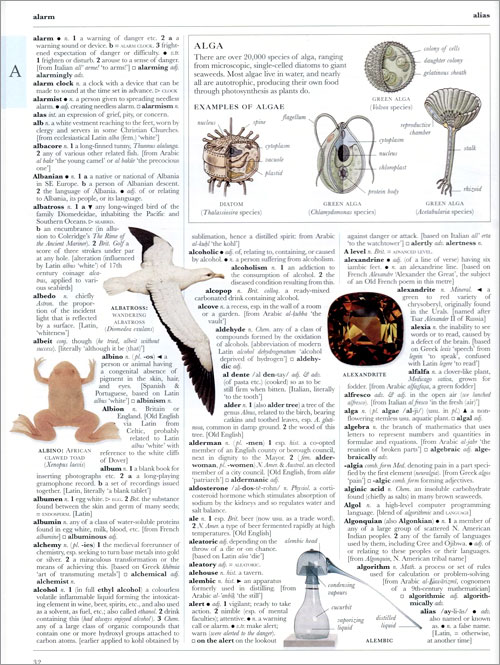 Бумажная книга «DK Illustrated Oxford Dictionary» - фото №1