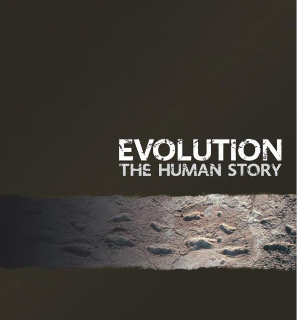 Бумажная книга «Evolution The Human Story», автор Элис Робертс - фото №1