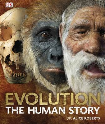 Бумажная книга «Evolution The Human Story», автор Элис Робертс - фото №1