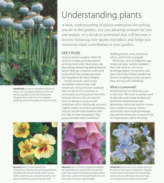 Паперова книга «RHS Complete Gardener's Manual» - фото №1