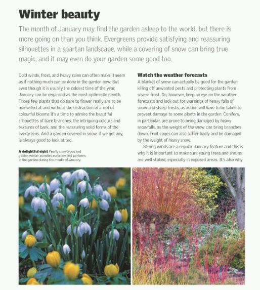Паперова книга «RHS Gardening Through the Year», автор Іен Спенс - фото №1