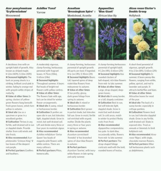 Паперова книга «RHS Gardening Through the Year», автор Іен Спенс - фото №1
