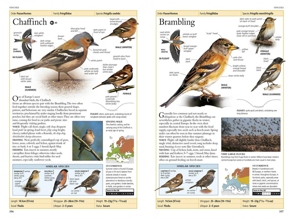 Бумажная книга «RSPB Birds of Britain and Europe», автор Роб Хьюм - фото №1