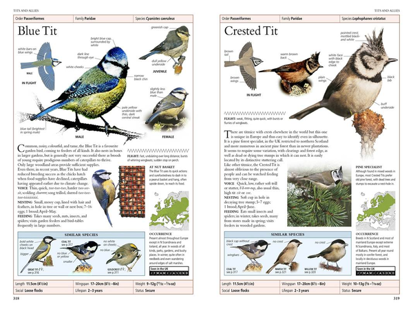 Бумажная книга «RSPB Birds of Britain and Europe», автор Роб Хьюм - фото №1