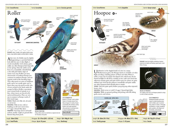 Бумажная книга «RSPB Birds of Britain and Europe», автор Роб Хьюм - фото №1