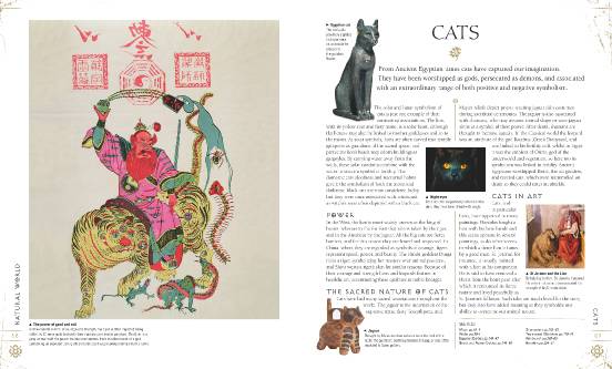 Паперова книга «Signs and Symbols: An Illustrated Guide to Their Origins and Meanings», автор Міранда Брюс-Мітфорд - фото №1
