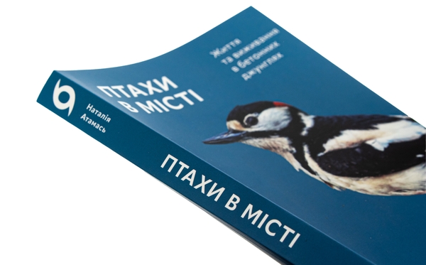 Бумажная книга «Птахи в місті. Життя та виживання в бетонних джунглях», автор Наталия Атамась - фото №1