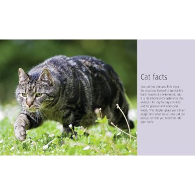 Бумажная книга «Cat Care Essentials», автор Францесса Рикомини - фото №1