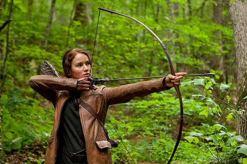 Бумажная книга «The Hunger Games: Official Illustrated Movie Companion», автор Кейт Эган - фото №1