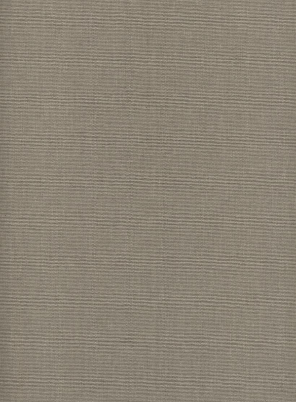 Паперова книга «Леопольд Левицький», автор Мар’ян Бесага - фото №1