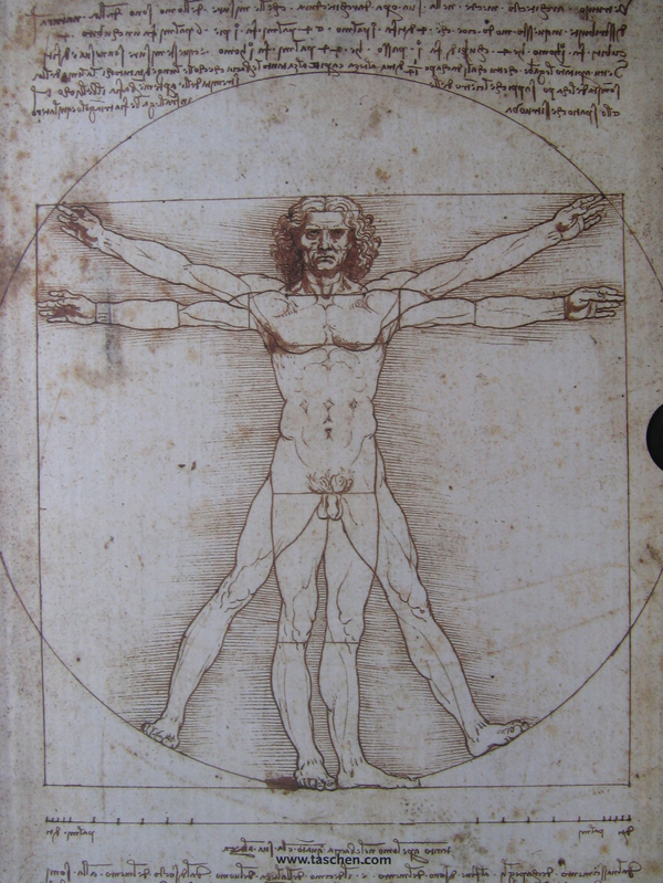 Бумажная книга «Leonardo da Vinci: The Complete Paintings and Drawings (комплект из 2 книг)», автор Франк Цельнер - фото №1