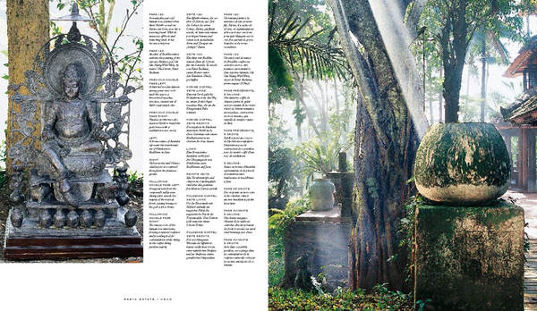 Бумажная книга «Living in Bali», автор Анита Лококо - фото №1