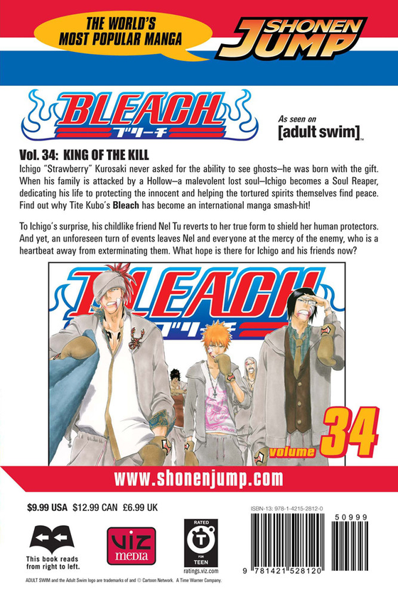 Паперова книга «Bleach. Volume 34», автор Тайто Кубо - фото №1