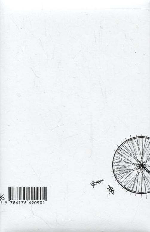 Бумажная книга «Історії про троянди, дощ і сіль», автор Дзвинка Матияш - фото №1