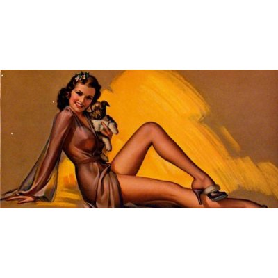 Бумажная книга «365, Day-by-Day, Pin Ups» - фото №1