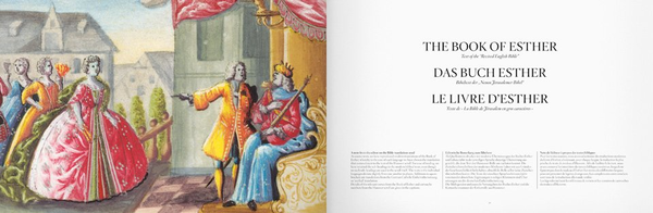 Бумажная книга «The Esther Scroll», автор Фальк Виземанн - фото №1