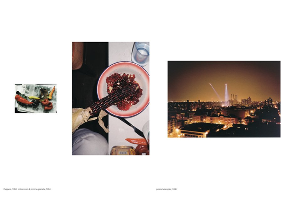 Бумажная книга «Wolfgang Tillmans (комплект из 3 книг)», автор Минору Шимизу - фото №1