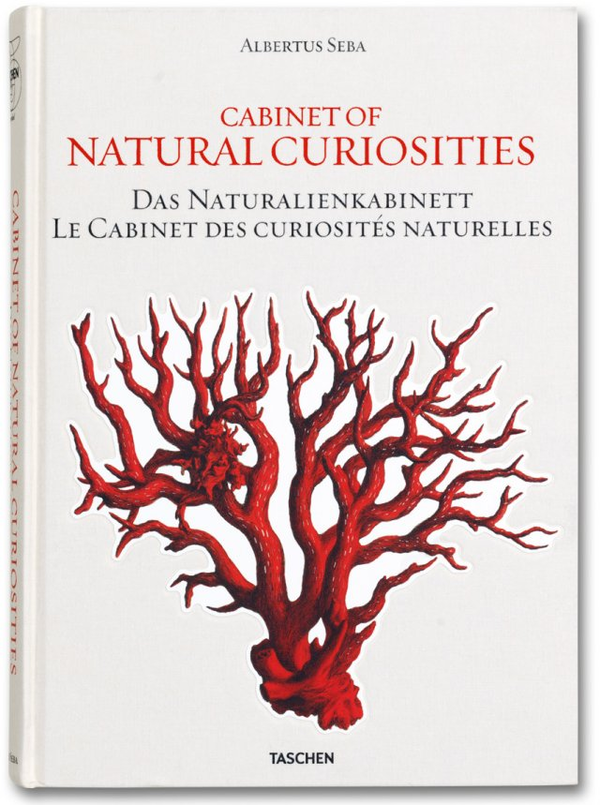 Паперова книга «Albertus Seba. Cabinet of Natural Curiosities», автор Альбертус Себа - фото №1