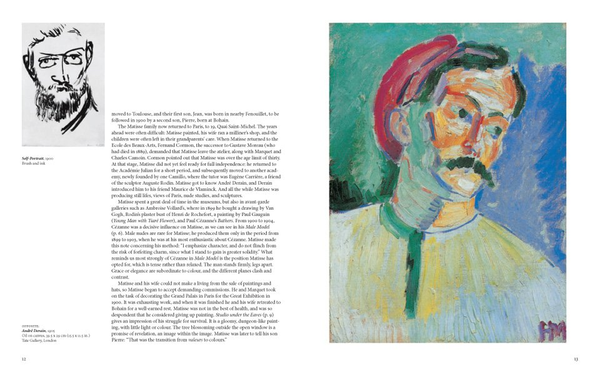 Паперова книга «Matisse», автор Фолькмар Ессерс - фото №1