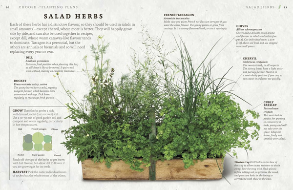Бумажная книга «The Herb Garden for Cooks», автор Джефф Кокс - фото №1