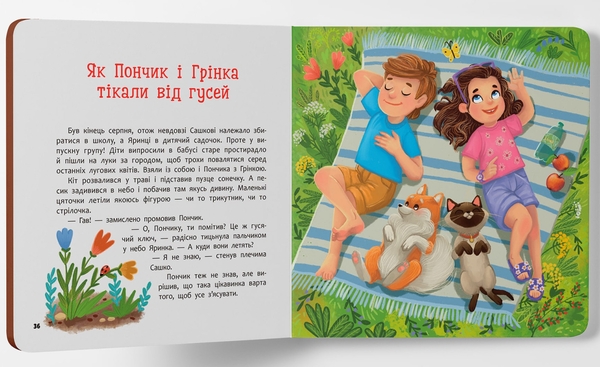 Бумажная книга «Пончик та Грінка. Канікули за містом», автор Юлия Рыженко - фото №1